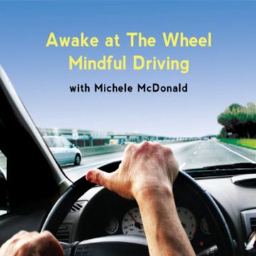 Driving Wheel-cover