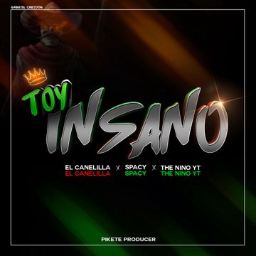 Toy Insano-cover