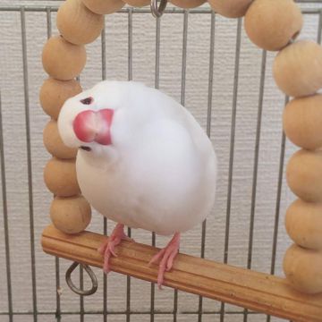 想怎樣-cover