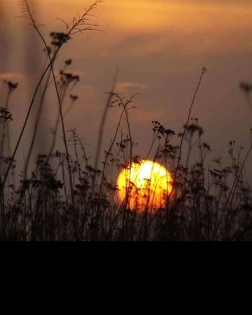coveImg