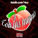 Toa las mamis (feat. KuromichizZz, Zpirant, Raychundo, Yamdo VO, Alexito reggaeton & Wooks)-cover