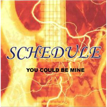 You Could Be Mine-cover