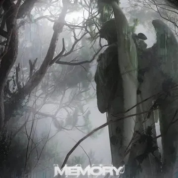 Memory-cover