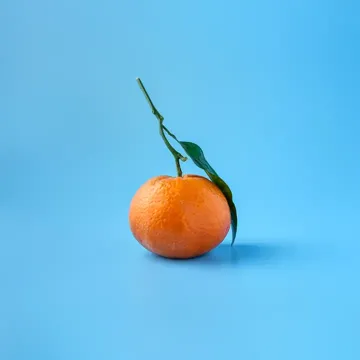 coveImg