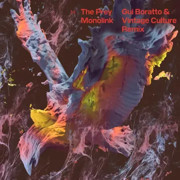 The Prey (Gui Boratto & Vintage Culture Remix)-cover