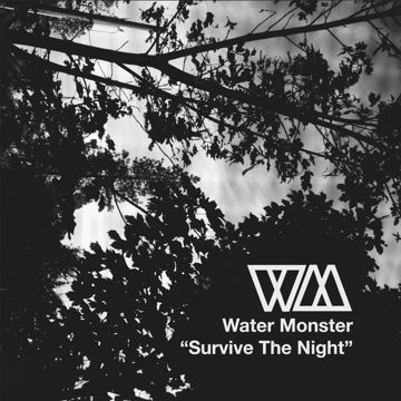 Survive The Night-cover