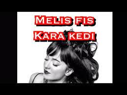 KARAKEDİ-cover
