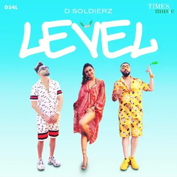 Level-cover