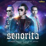 Senorita(Live)-cover