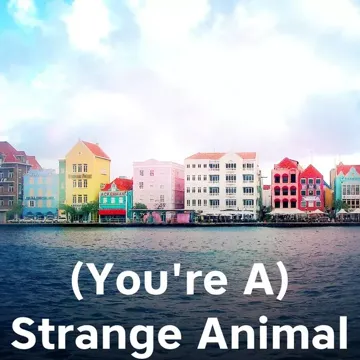 coveImg
