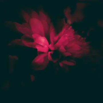 my mind-cover