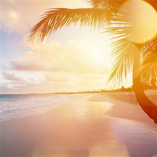 ပင္တိုင္စံ