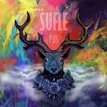 Pus-cover