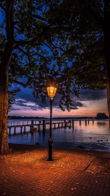 coveImg