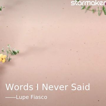 Words I Never Said-cover