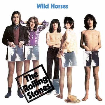 Wild Horses (Acoustic Version)-cover
