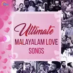 Ente Kannil Ninakkaai-cover