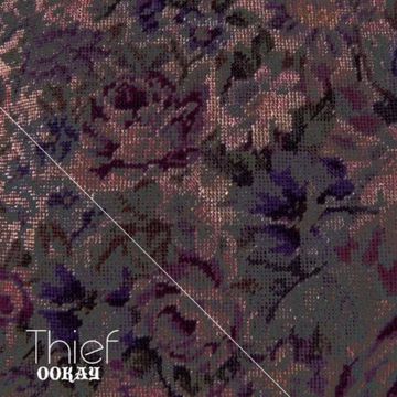 Thief-cover