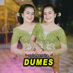 Dumes