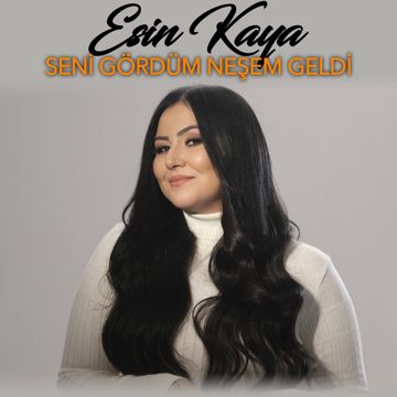 Seni Gördüm Neşem Geldi-cover