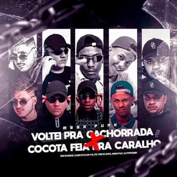 MEGA FUNK VOLTEI PRA CACHORRADA X COCOTA FEIA PRA CARALHO (feat. DJ GUSTAVO DA VS & DJ Jeeh FDC)-cover