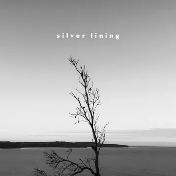 coveImg
