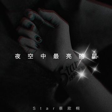 夜空中最亮的星(Live)-cover