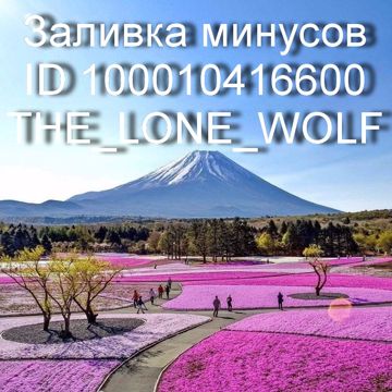 ТЫ МНЕ СПОЙ(THE_LONE_WOLF)-cover