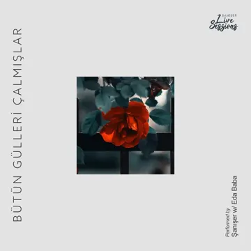 Bütün Gülleri Çalmışlar (Live)-cover