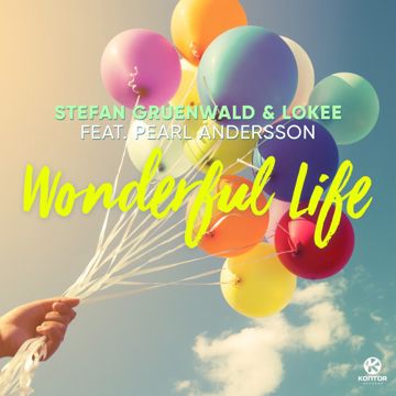 Wonderful Life - Radio Edit-cover