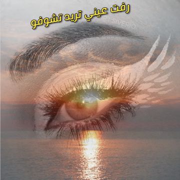 coveImg