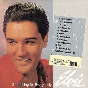 Everybodys Something-cover