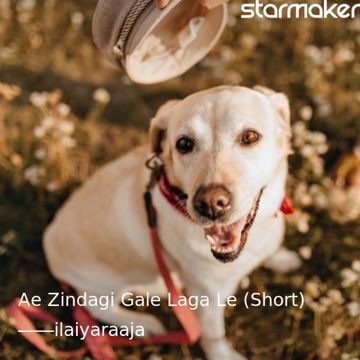 Ae Zindagi Gale Laga Le (Short)-cover