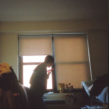 Bloom-cover