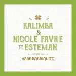Arre Borriquito-cover