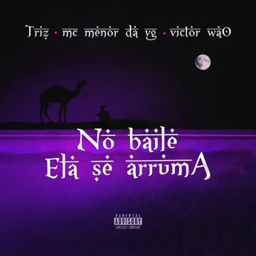 No Baile Ela Se Arruma-cover