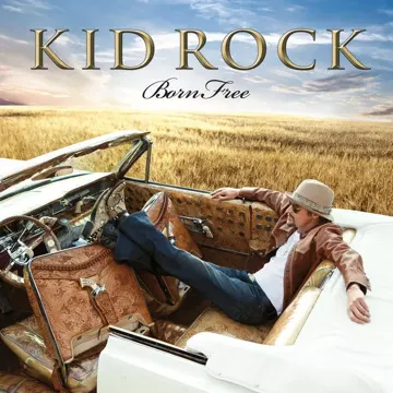 kid-rock-feat-sheryl-crow-collide-cover-image