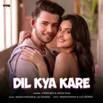 Dil Kya Kare-cover