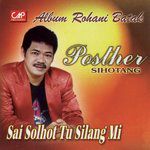 Sai Solhot Tu Silang Mi-cover