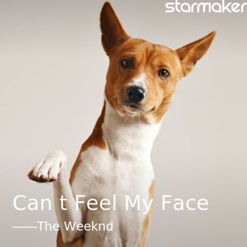Can't Feel My Face-cover