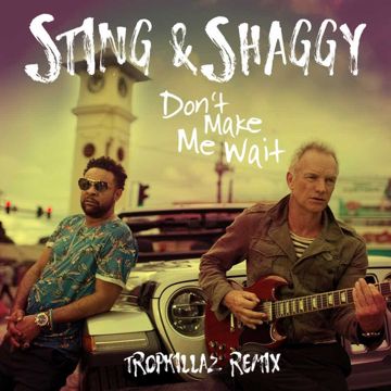 Don't Make Me Wait (Tropkillaz Remix)-cover