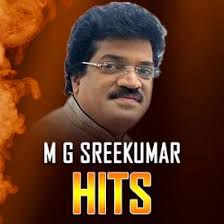 Ambalapuzhe Unnikannanodu Nee (Short Ver.)-cover