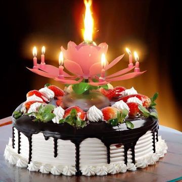 Birthday song-cover
