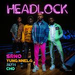 Headlock-cover