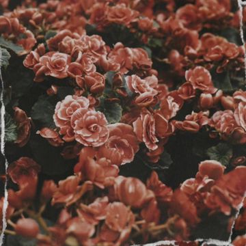 Pull You Closer-cover