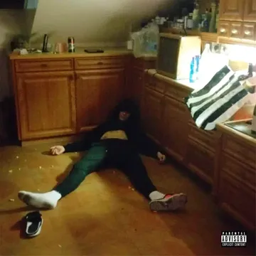 Lingo-cover