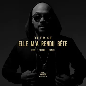 Elle m'a rendu bête-cover