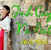 Tình Cây Và Đất-cover