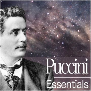 Puccini: Turandot, Act 3: "Nessun dorma" (Calaf)-cover