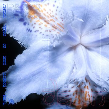 Dawn-cover